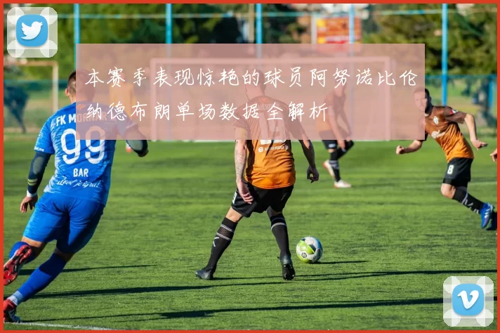 本赛季表现惊艳的球员阿努诺比伦纳德布朗单场数据全解析